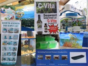A phletora of products involving seaweed.