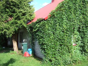 The fieldstation is Jonnes familys' summerhouse.